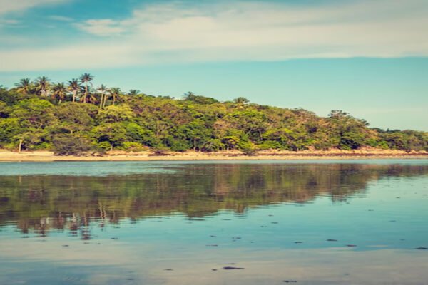 Coastal Alex Savannah: A Hidden Gem on the Georgia Coast