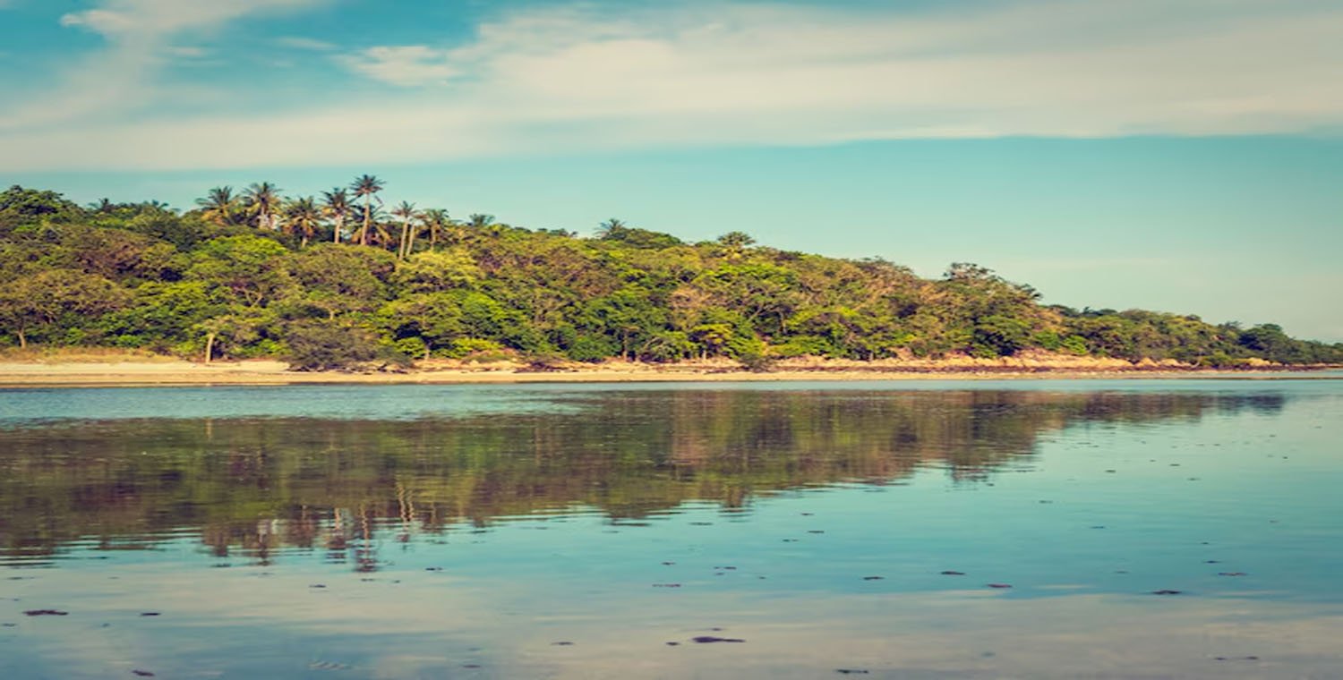 Coastal Alex Savannah: A Hidden Gem on the Georgia Coast